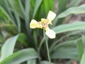 Tn 0543 DSC 5866